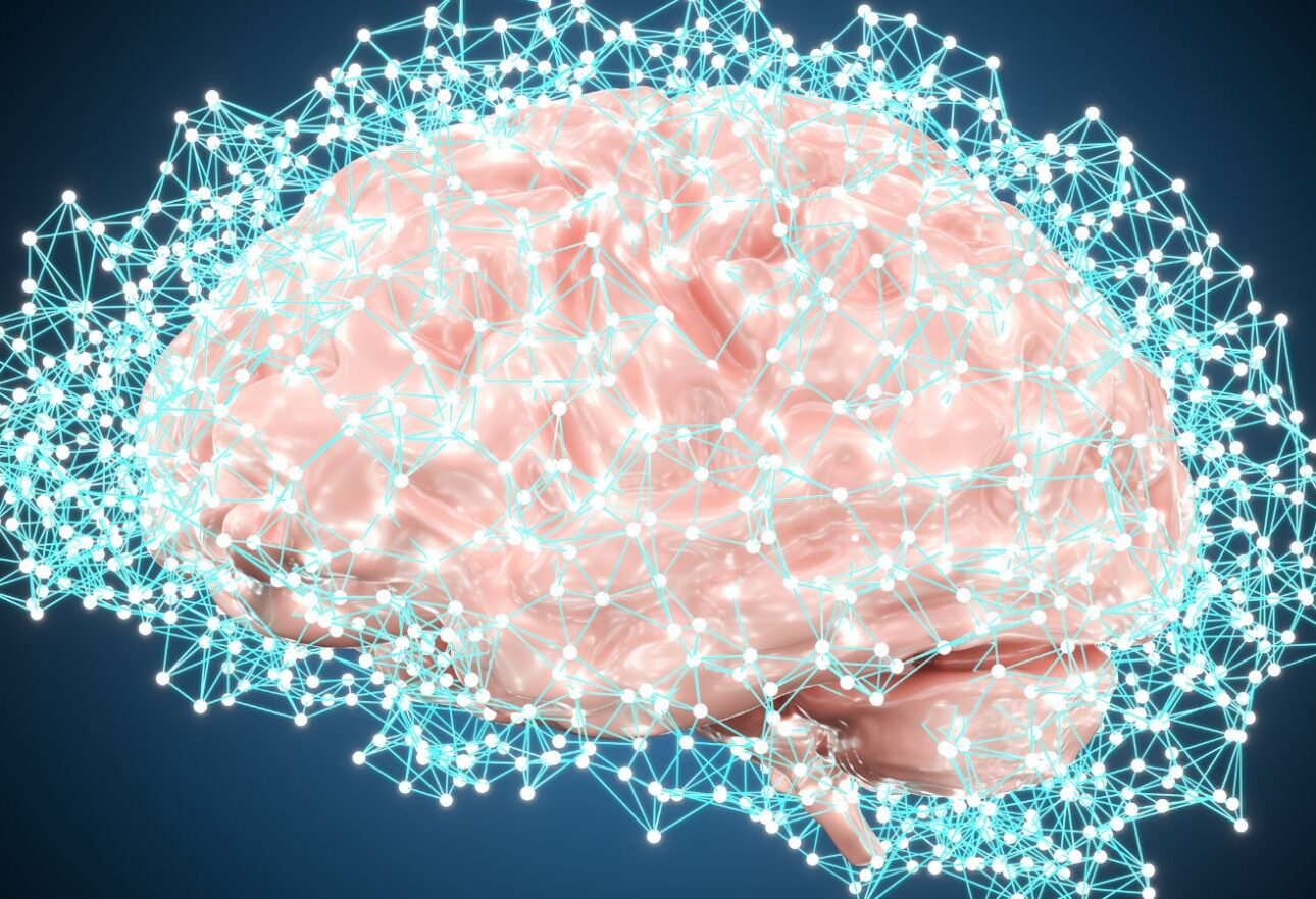 what is objective cognitive assessment testing and why does it matter for therapists and brain health