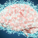 what is objective cognitive assessment testing and why does it matter for therapists and brain health