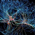 qeeg brain mapping technologies for mental health care